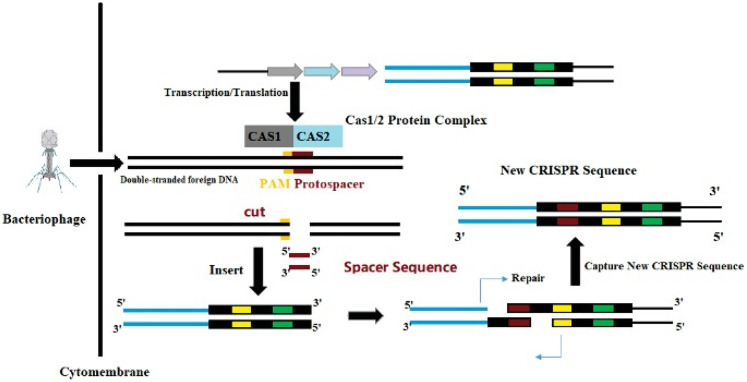 Figure 2.