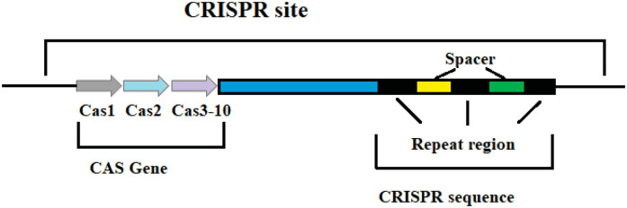 Figure 1.