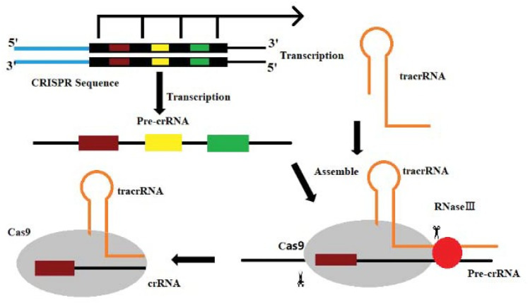 Figure 3.