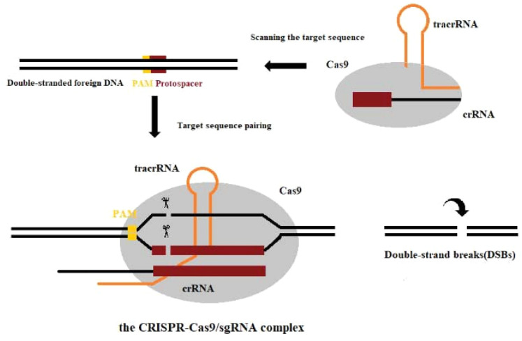 Figure 4.