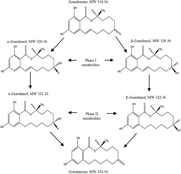 FIGURE 1