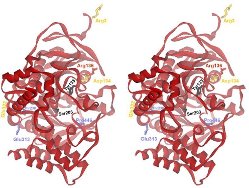 Fig. 7.