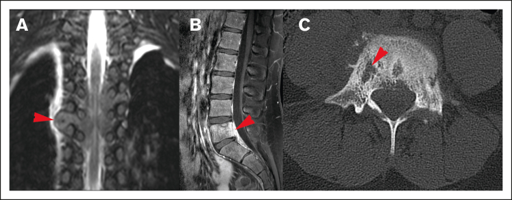 Figure 4.