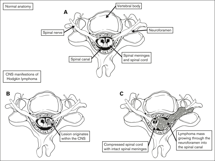 Figure 1.