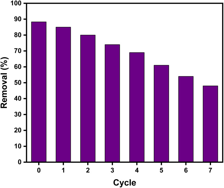 Fig. 12