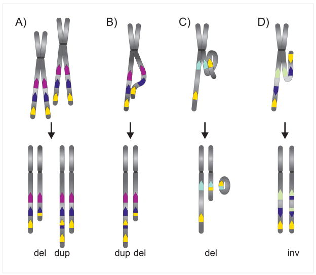 Fig. 3