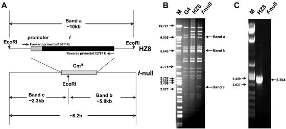 FIG. 2.