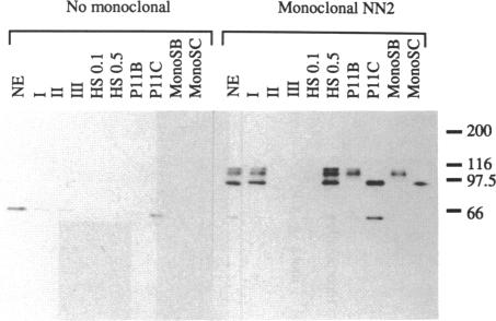 graphic file with name pnas01125-0157-a.jpg