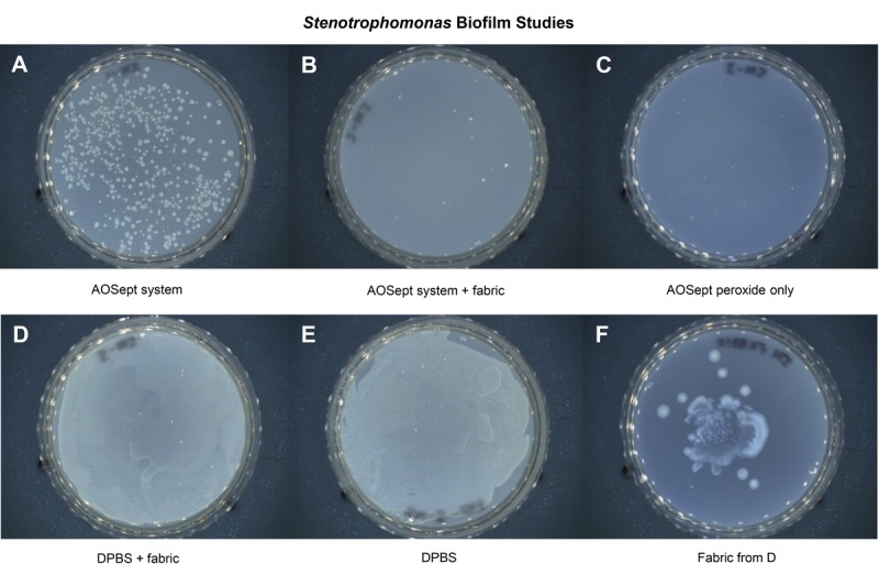 FIGURE 4