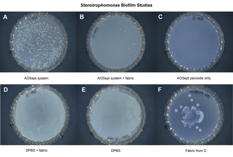 FIGURE 3