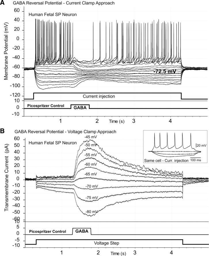 Figure 6.