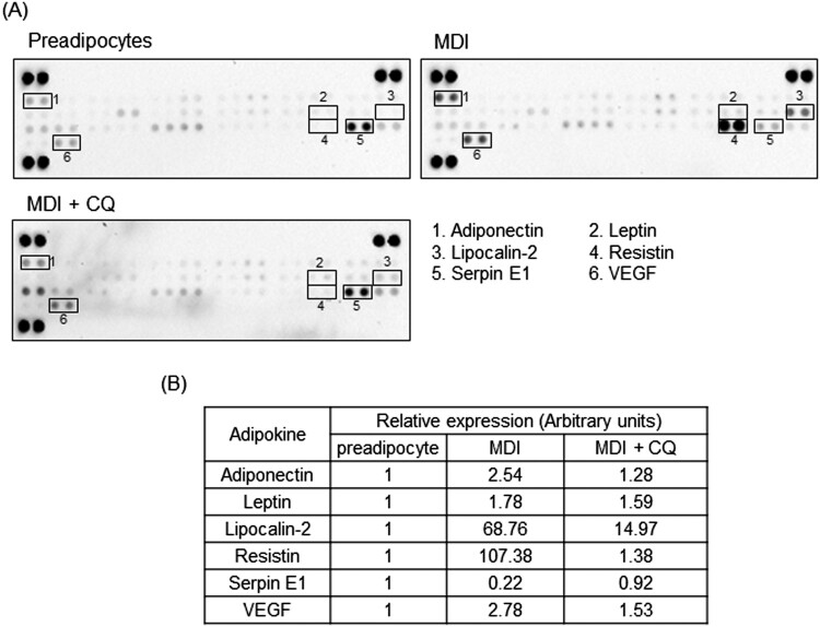 Figure 4.