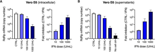 FIG 6