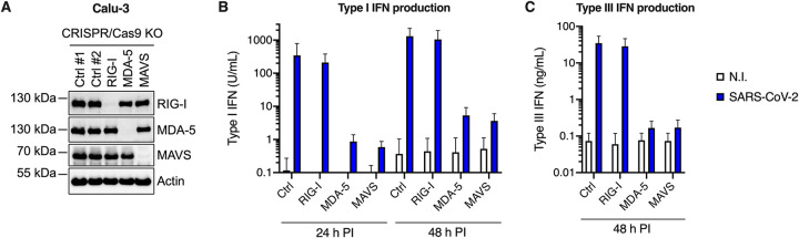 FIG 5