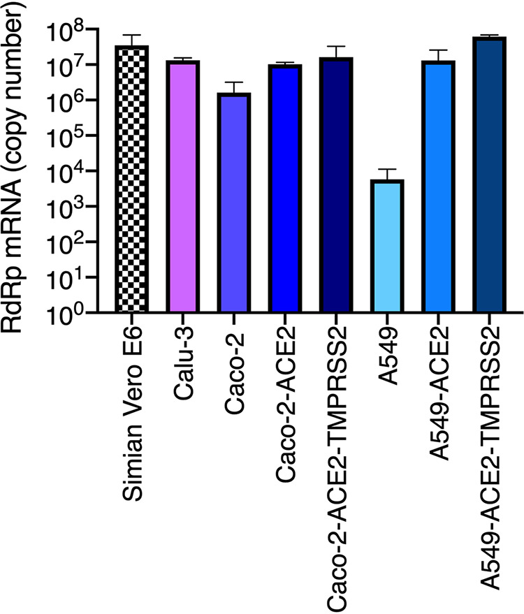 FIG 2