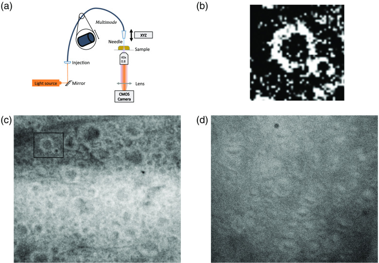 Fig. 4