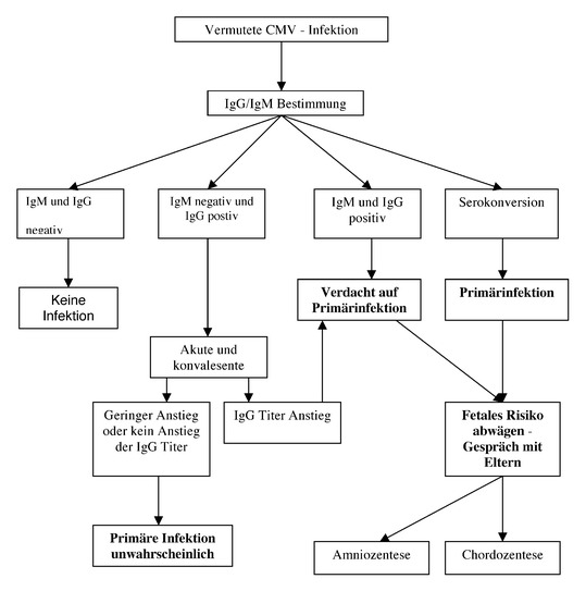 graphic file with name 129_2006_1805_Fig2_HTML.jpg