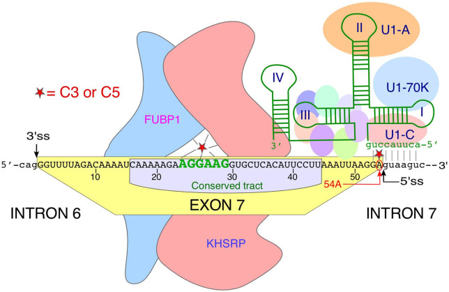 Figure 3.