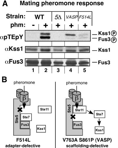 FIG. 2.