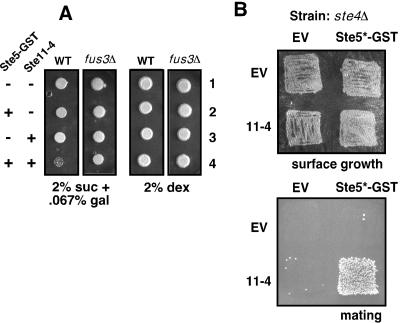 FIG. 6.