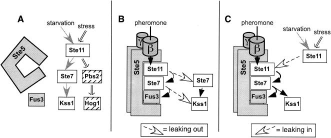 FIG. 7.