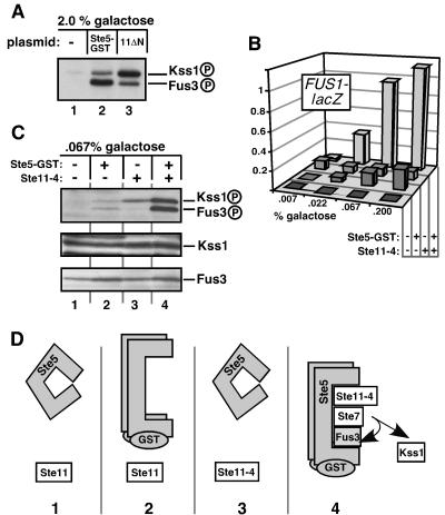 FIG. 5.