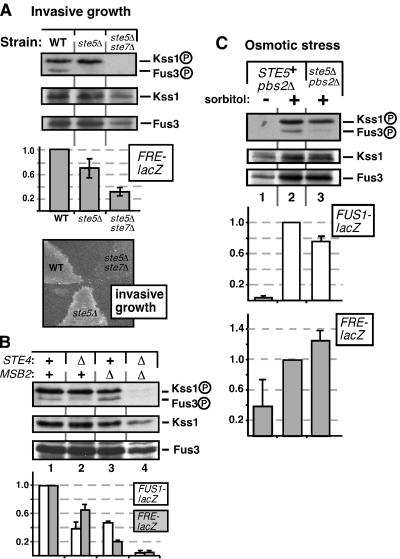 FIG. 3.