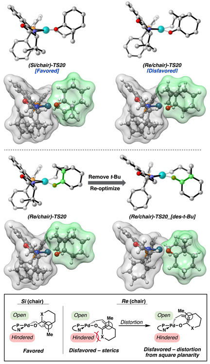 Figure 11.