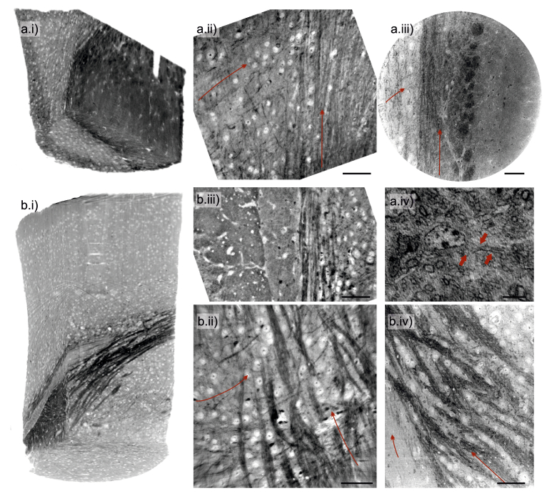 Fig. 7.