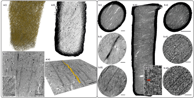 Fig. 5.