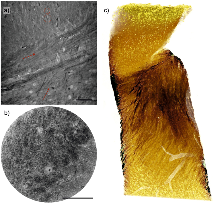 Fig. 8.