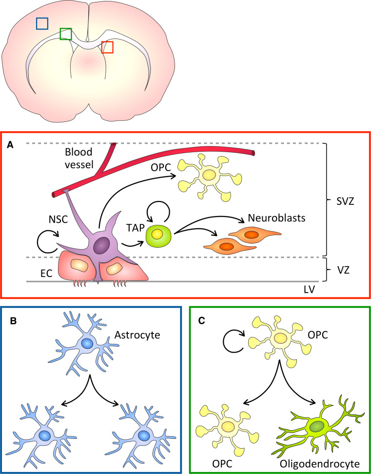 Fig. 3