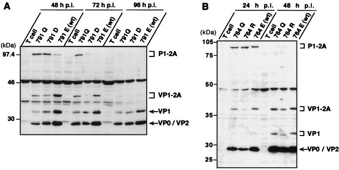 FIG. 5