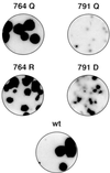 FIG. 4