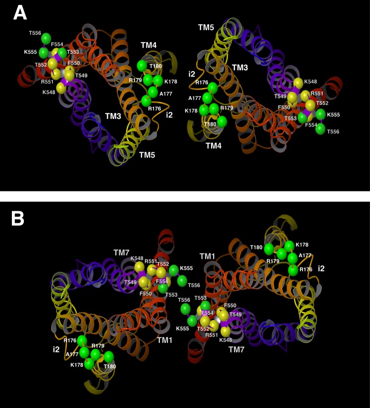 FIGURE 12.