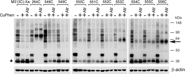 FIGURE 10.