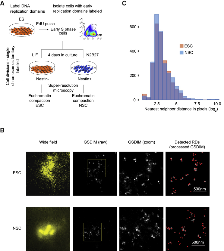 Figure 2