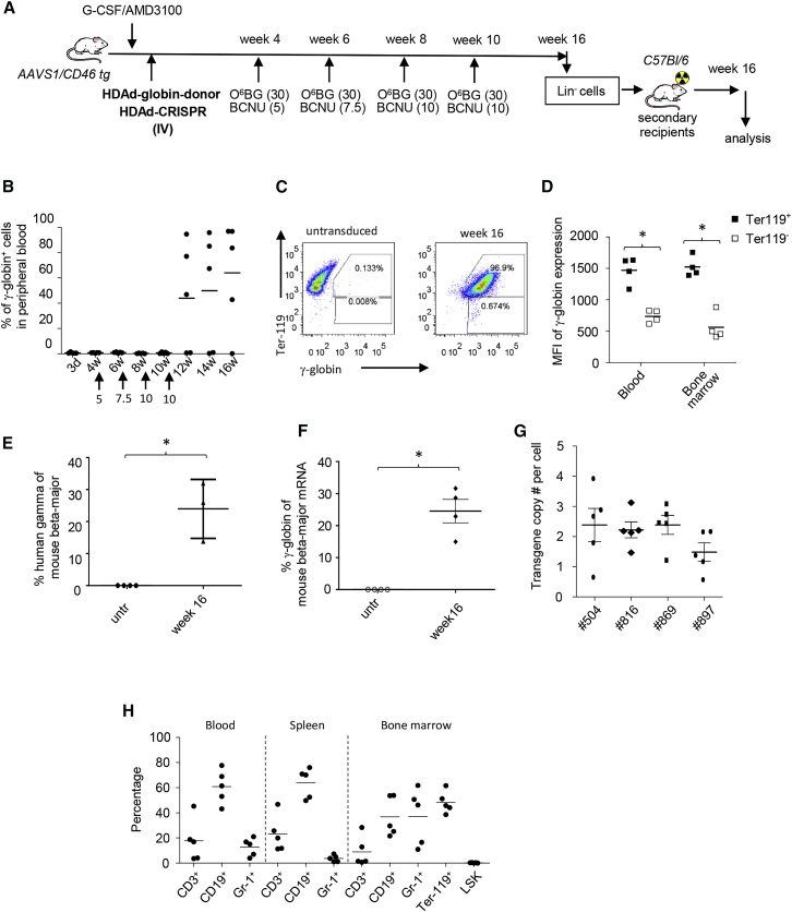 Figure 6