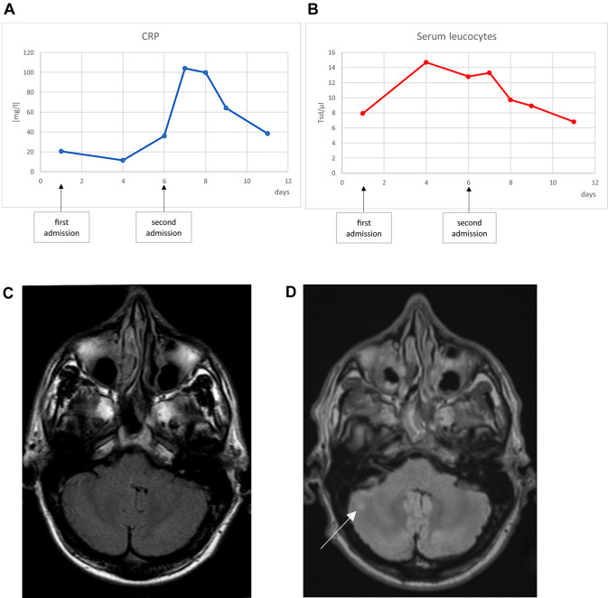 Fig. 1