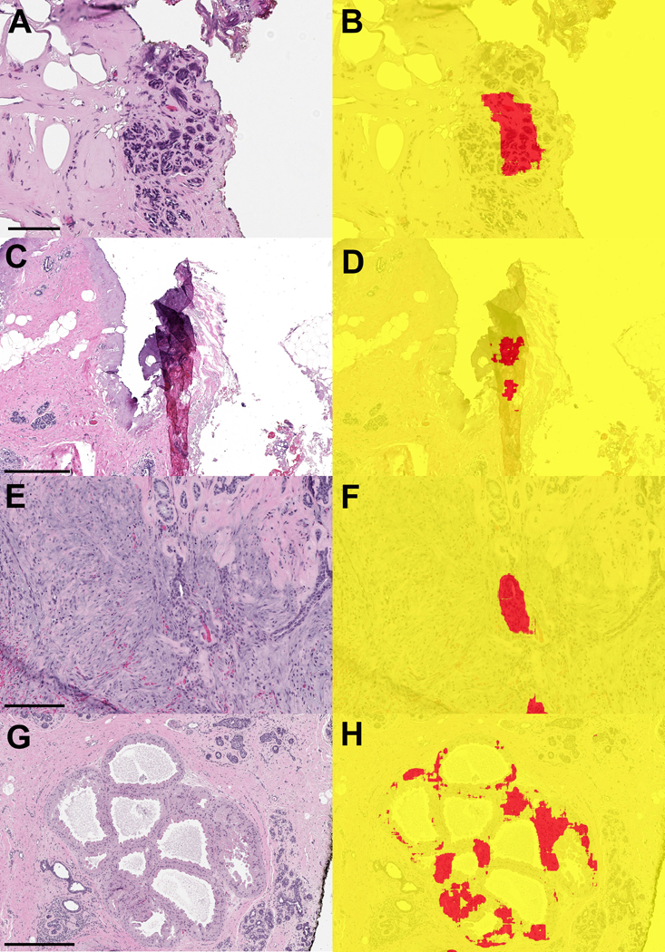 Figure 7.