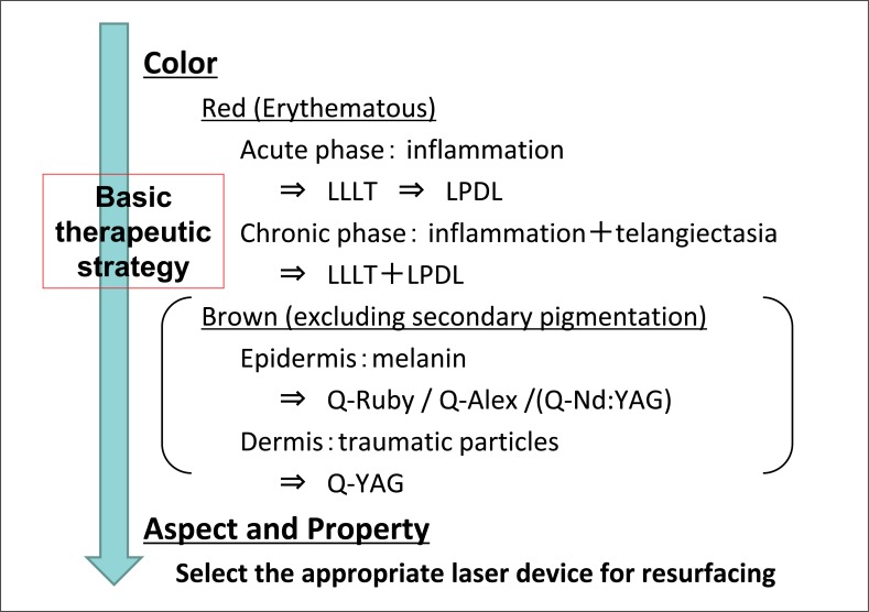 Figure 1: