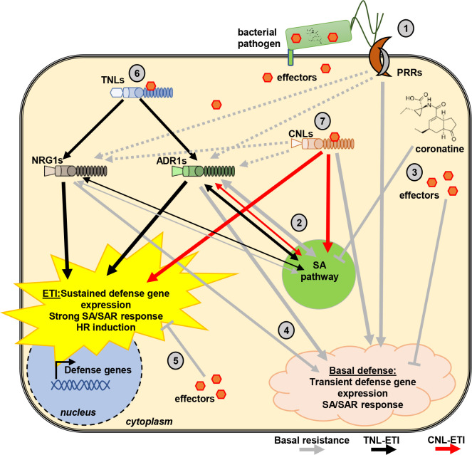 Fig 6