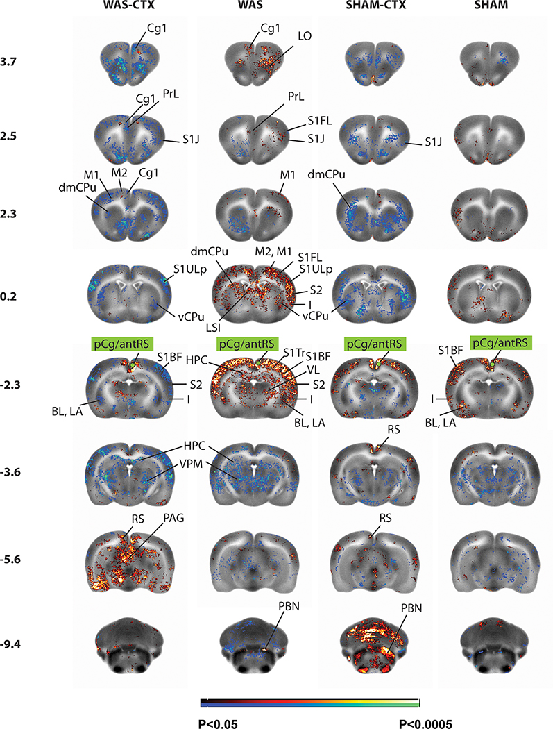 Figure 4: