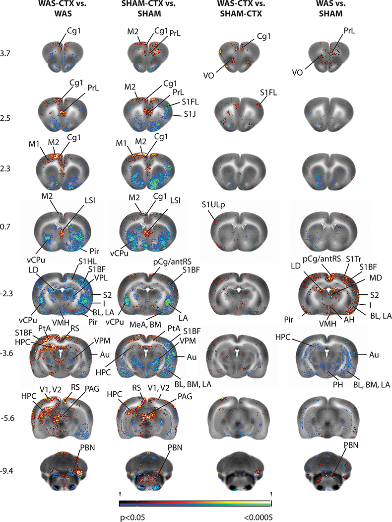 Figure 2: