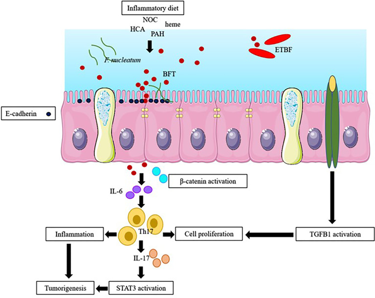 Figure 1