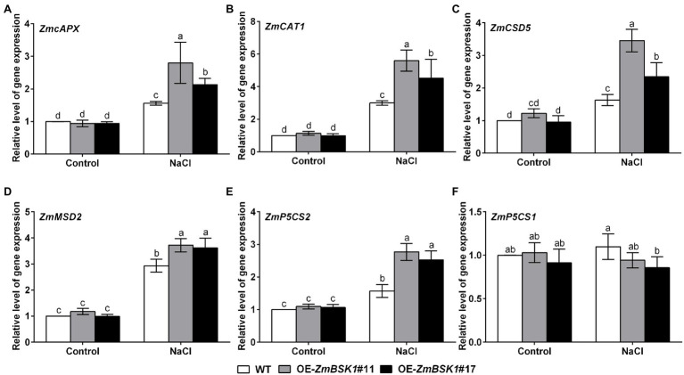 Figure 5