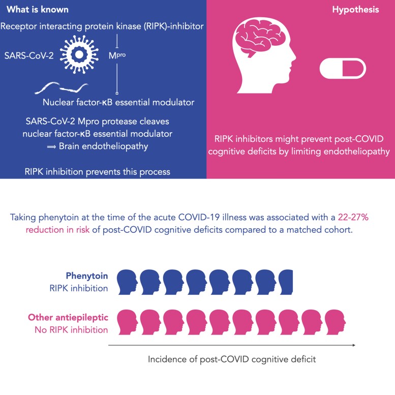 Graphical Abstract