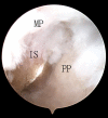 Fig 5