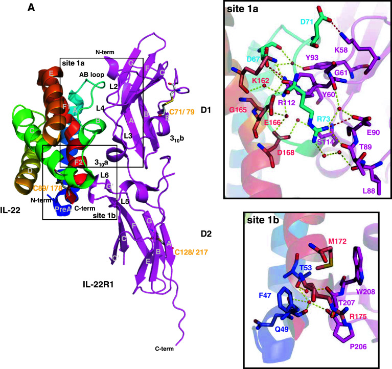 Fig. 4