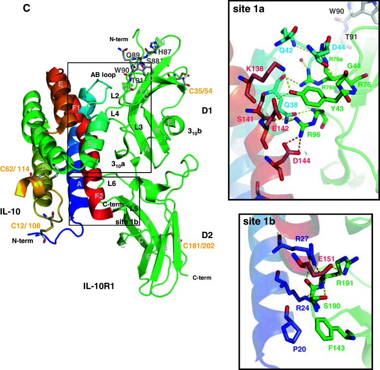 Fig. 4